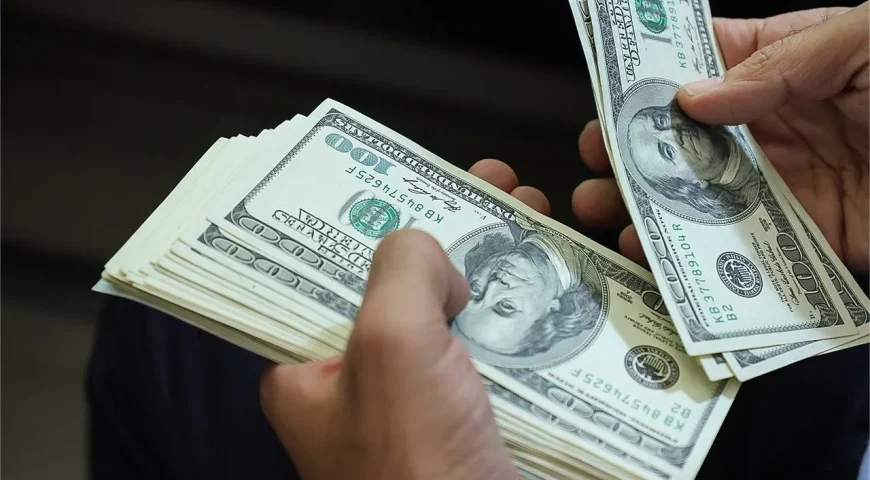 عرضه دلار در بانک‌ها ۷۰ برابر تقاضای روزانه/ بازار با کمبود عرضه مواجه نیست